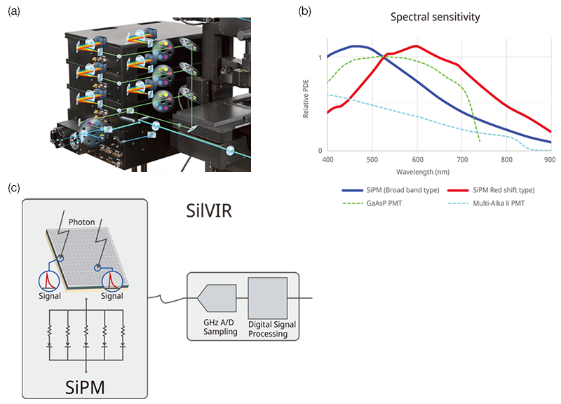 图1. 组成SilVIR探测器的装置：(a) FV4000荧光探测器；(b) 显示SilVIR探测器光谱灵敏度的图表——在400 nm到900 nm波长范围内，使用宽带型和红移型时，探测器的灵敏度高于传统的高灵敏度GaAsP-PMT；(c) SilVIR探测器由SiPM传感器、1 GHz A/D采样和数字信号处理组成。