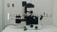 倒立型顕微鏡IX3ハロゲンランプ交換
