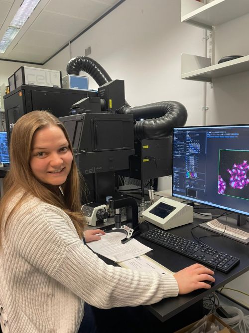 These cells can self-organize into structures resembling the layered organization of the human brain, making them a powerful platform for studying brain biology. T