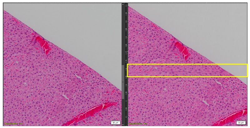 Example of stitching improvements on the APEXVIEW APX100 benchtop fluorescence microscope.