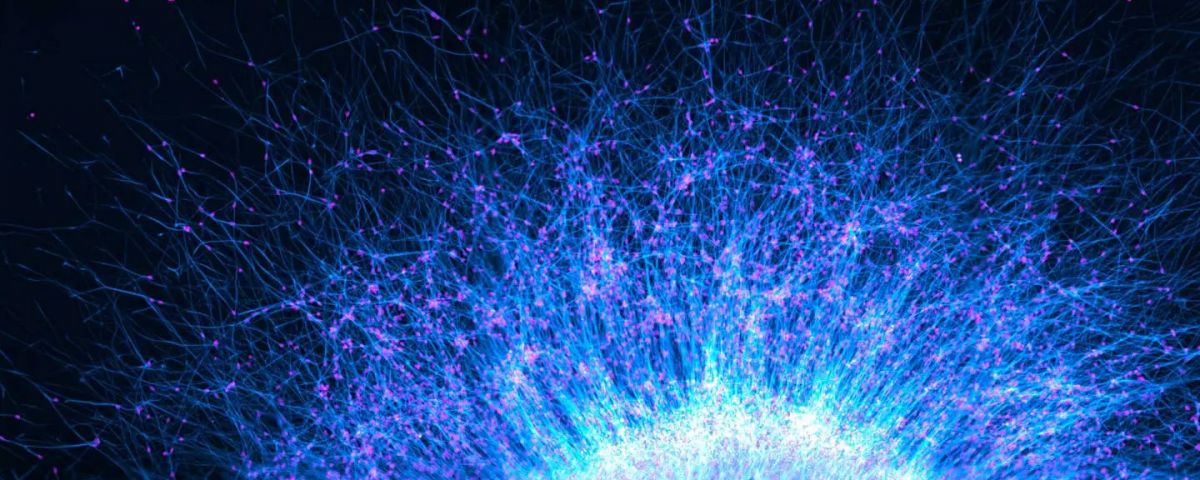 Image of the Year Winners