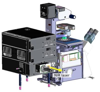带有用于上转换的近红外激光导入装置的FV3000激光扫描共聚焦显微镜
