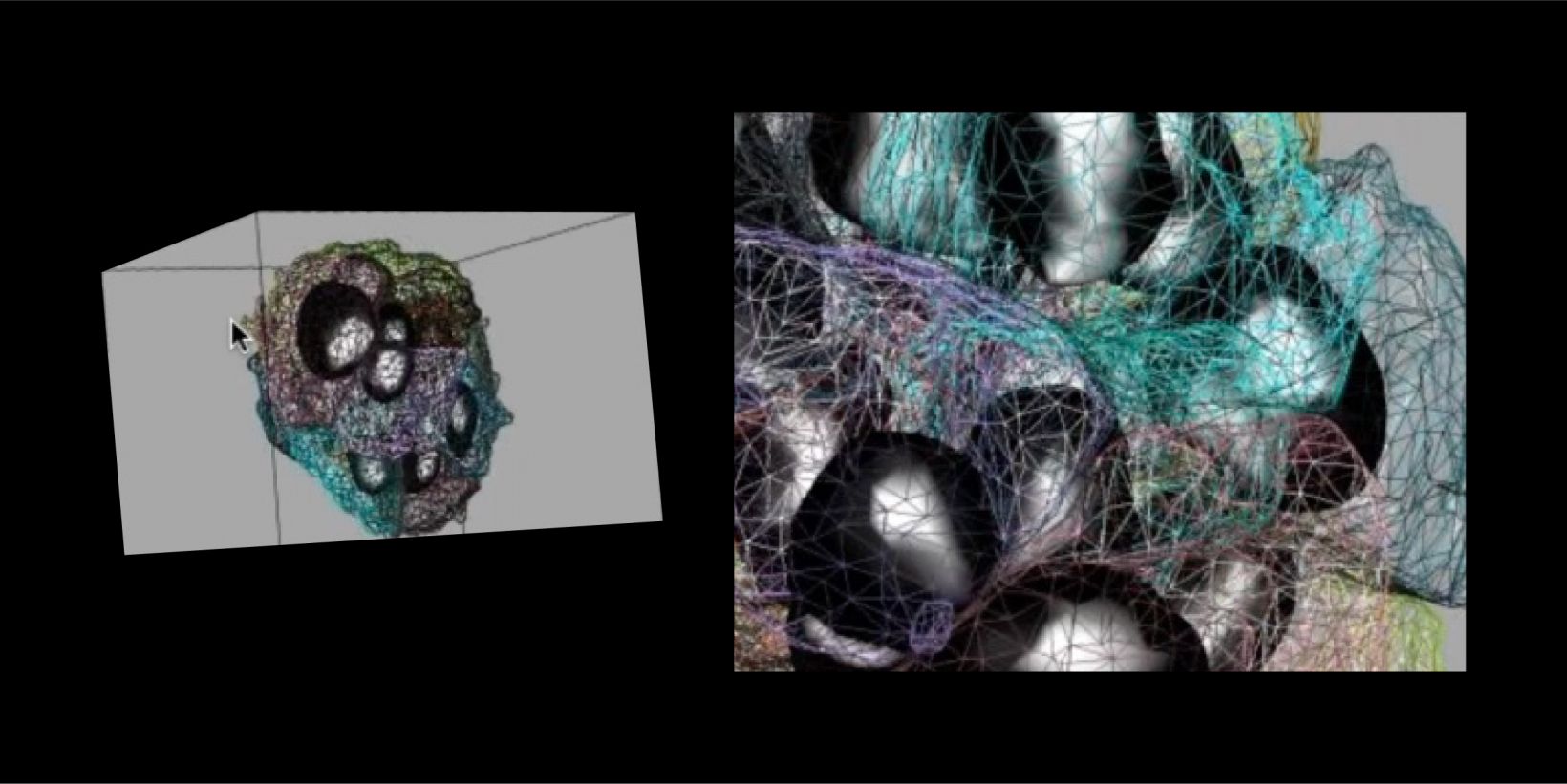 3D Segmentation for Fluorescence Images: From Qualitative to Quantitative