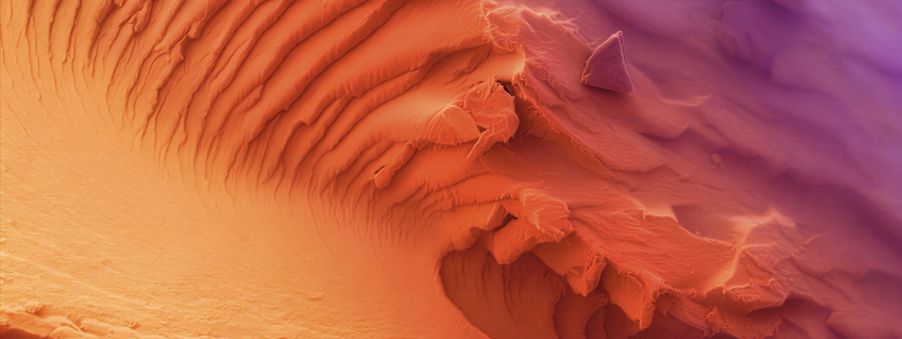 Uncovering Microscopic Landscapes—6th Annual Image of the Year Materials Science Winner