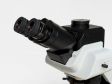 Why Microscope Field of View Matters in Pathology: A Practical Comparison