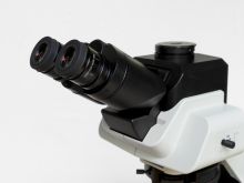 Why Microscope Field of View Matters in Pathology: A Practical Comparison