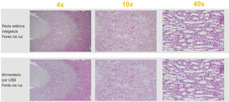 Comparação entre fonte de luz alimentada pela rede elétrica pública e fonte de luz alimentada por bateria USB das imagens do microscópio CX23
