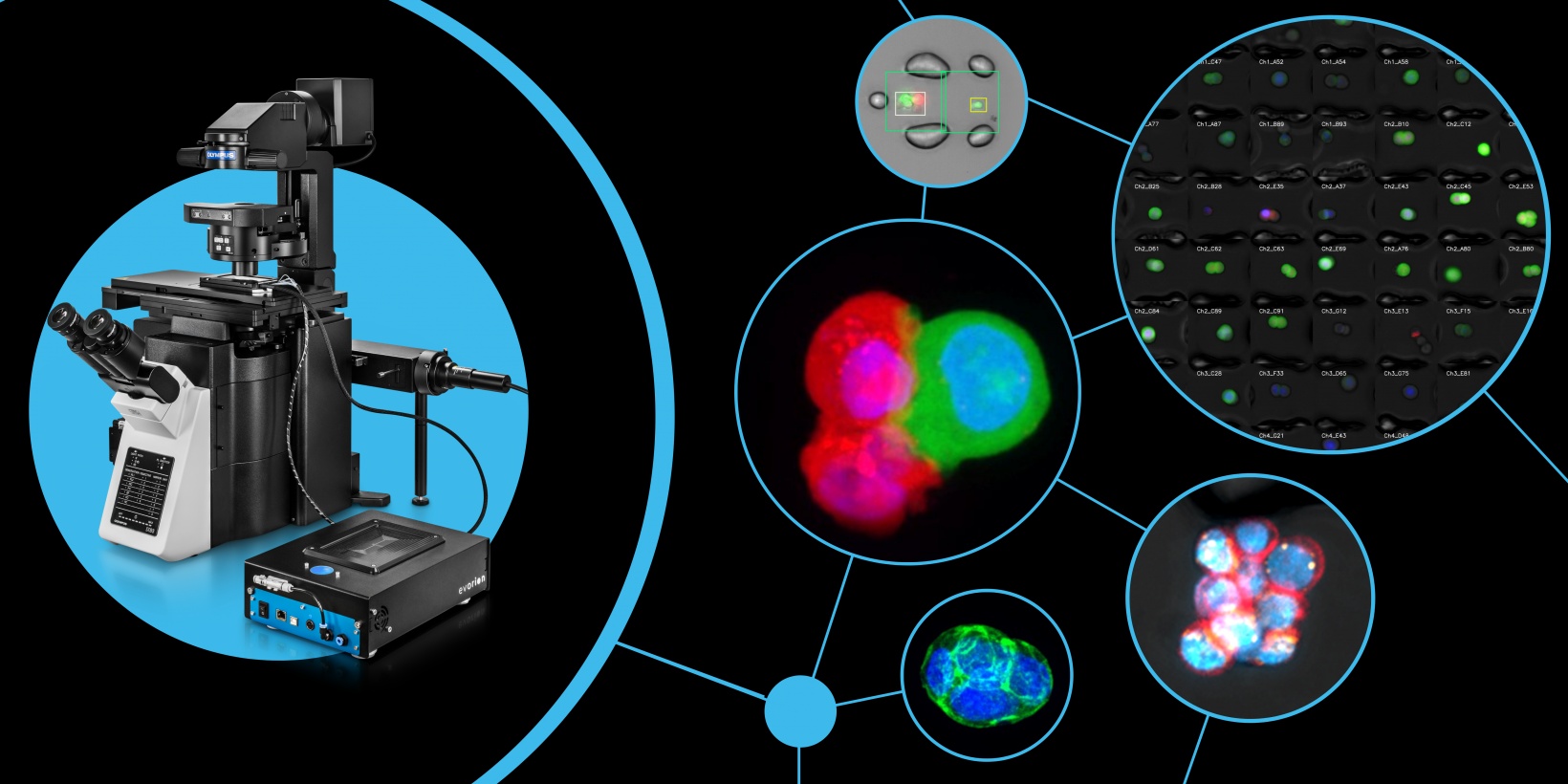 Technology Evaluation: Deciphering Cell-Cell Interactions in a 3D Microenvironment at a Single-Cell Resolution