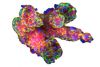 3D Analysis of Patient-Derived Tumor Organoids