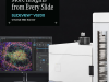Multiplexing with the VS200