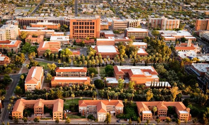 The University of Arizona Department of Pharmacology