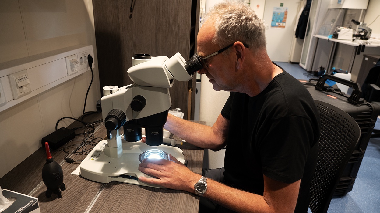 To quickly scan and identify interesting samples in a constantly changing environment, Jan relied on the SZX16 stereo microscope for its optical clarity and ultra-wide zoom range. Image courtesy of Jan van IJken.