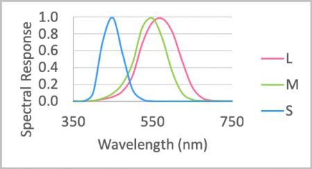 Spectrum sensitivity of the human eye 