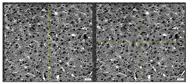 Example of distortion correction enabled and disabled.