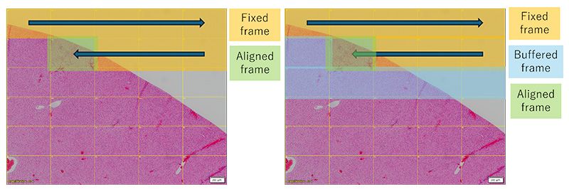 Stitching algorithm improvements on the APEXVIEW APX100 benchtop fluorescence microscope.