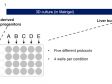 使用奥林巴斯Provi CM20细胞培养监控系统监控培养基成分对人类iPS细胞衍生肝芽类器官生长和分化的影响