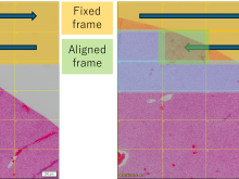 Image Stitching Improvements on the APEXVIEW™ APX100 Benchtop Fluorescence Microscope