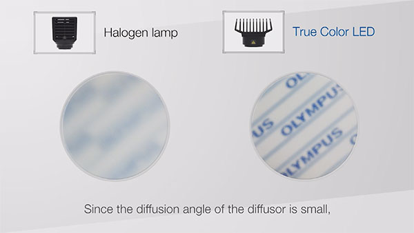図5:ハロゲンランプ(左)とTrue Color LED(右)との拡散比較