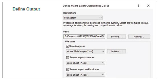 図2:記録したマクロプロセスを使用したバッチ解析のステップ3