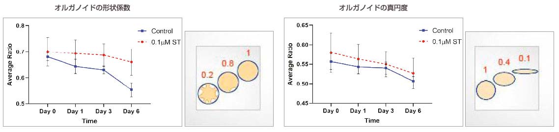 図4:オルガノイドの形態に関連するパラメーターの経時的な測定値