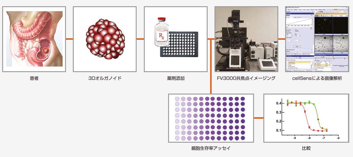 アプリケーションワークフロー