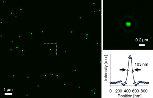 Figure 6. Super resolution image of fluorescent beads (Φ100 nm) acquired by the IXplore SpinSR system and a corresponding intensity profile.