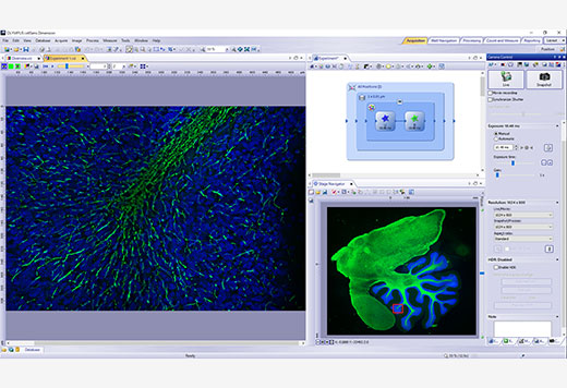 専任スタッフによる画像解析