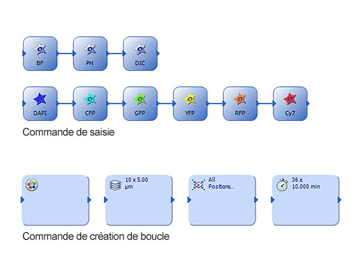 Facilité d’utilisation