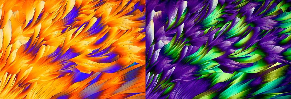 Dissolved beta-alanine and L-glutamine under the microscope