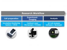 Drug Efficacy Evaluation of 3D Cancer Spheroids Using an Imaging-Based Workflow