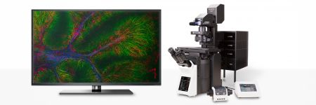 Confocal laser scanning microscope