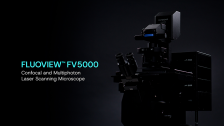 FLUOVIEW™ FV5000 Confocal and Multiphoton Laser Scanning Microscope