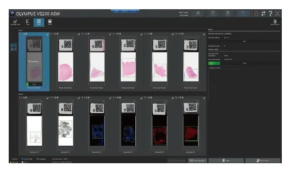 Figure 4. Improve throughput and efficiency with the VS200 slide scanning system.