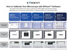 How to Calibrate Your Microscope with EPview Software