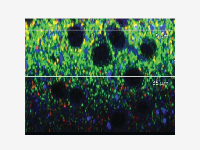 60X Silicone Oil Objective